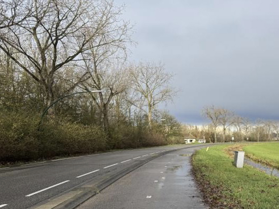 Zegveld wordt steeds kaler door de gekapte bomen