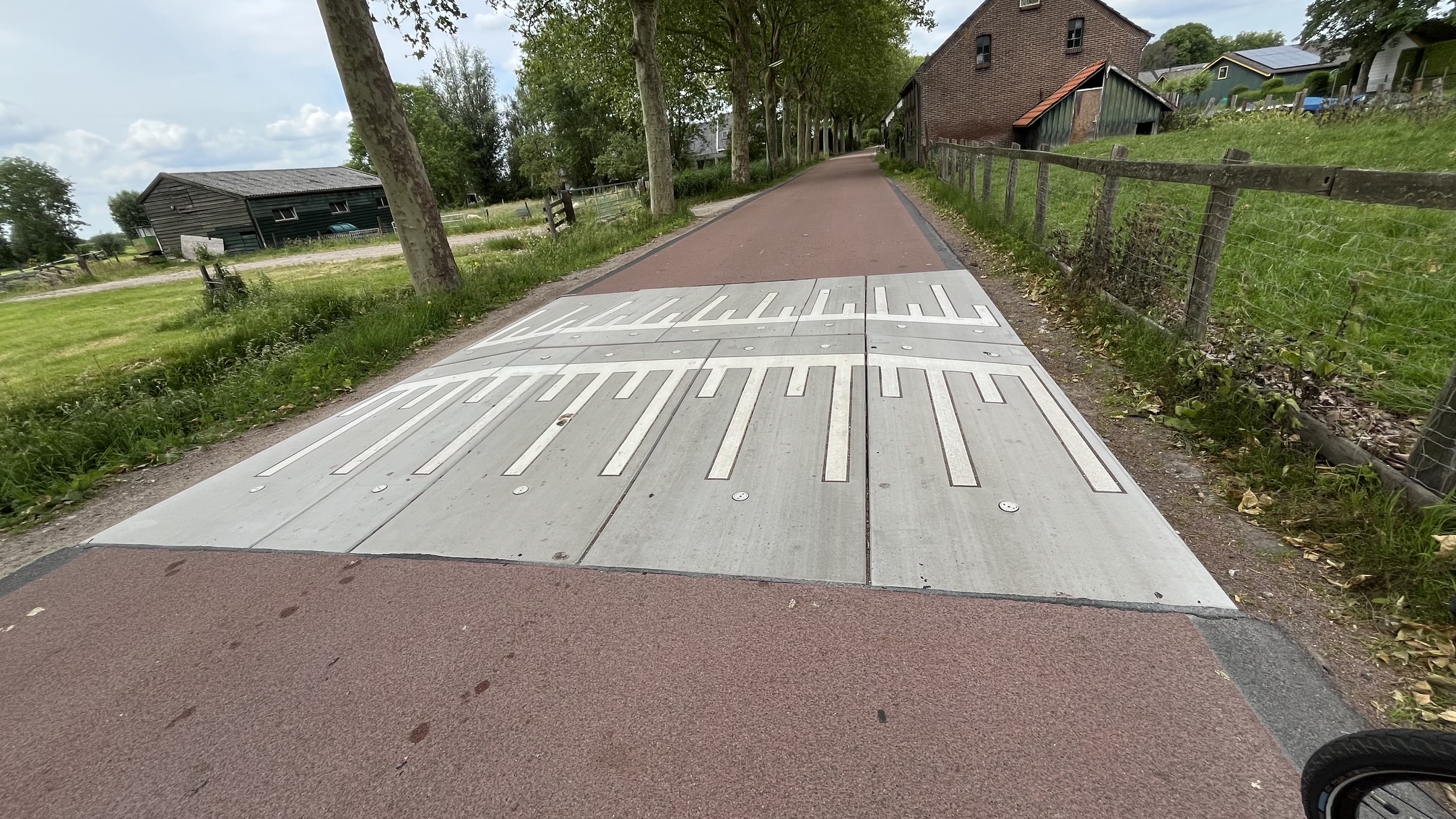 Vragen over verkeersveiligheid fietsstraat Haanwijk